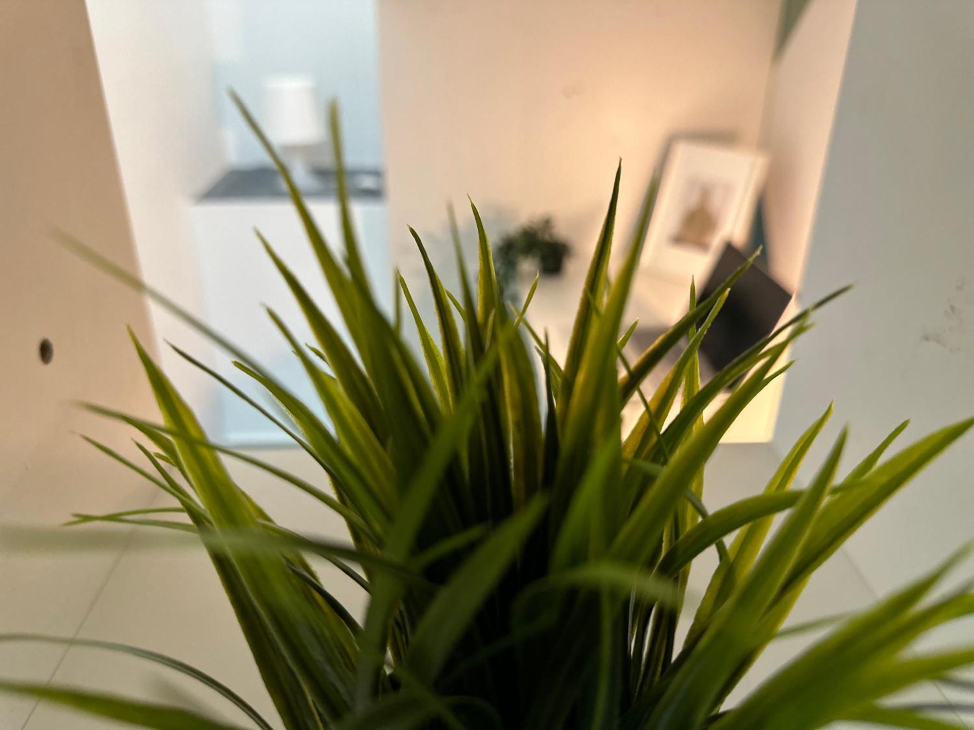 Cozy Loft Partition In Barsha Heights *